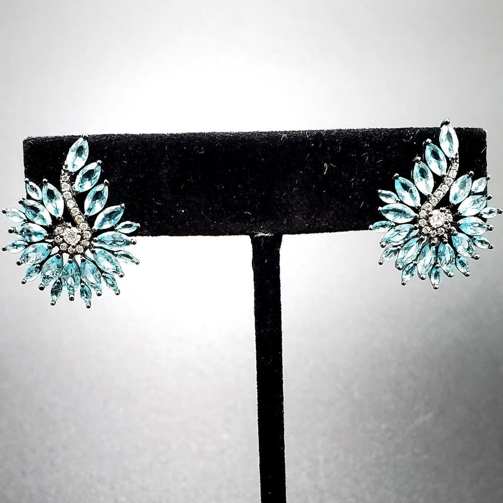 Sleek design, radiantly shiny earrings!